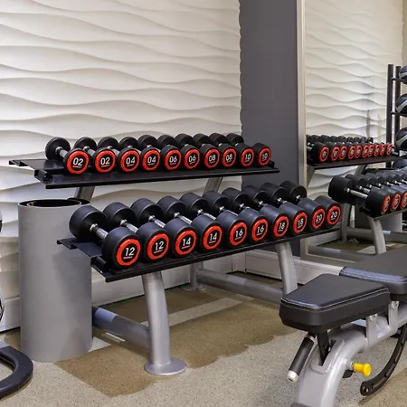 希尔顿约克酒店